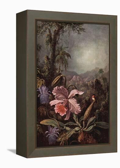 Orchids, Passion Flowers And Hummingbirds-Martin Johnson Heade-Framed Stretched Canvas