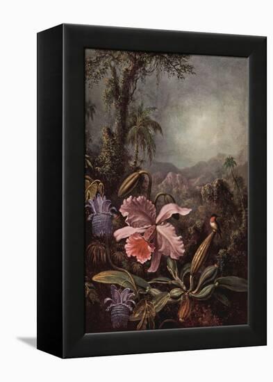 Orchids, Passion Flowers And Hummingbirds-Martin Johnson Heade-Framed Stretched Canvas