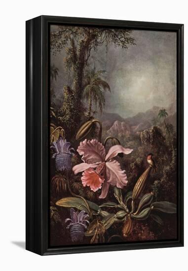 Orchids, Passion Flowers And Hummingbirds-Martin Johnson Heade-Framed Stretched Canvas