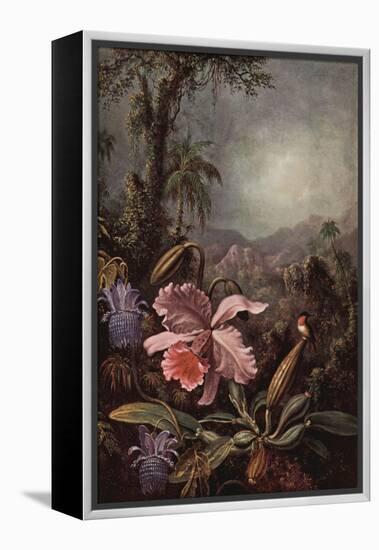 Orchids, Passion Flowers And Hummingbirds-Martin Johnson Heade-Framed Stretched Canvas