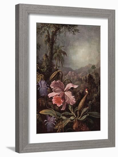 Orchids, Passion Flowers And Hummingbirds-Martin Johnson Heade-Framed Premium Giclee Print