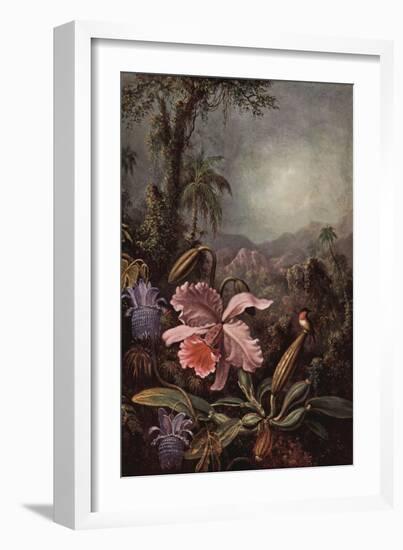 Orchids, Passion Flowers And Hummingbirds-Martin Johnson Heade-Framed Premium Giclee Print