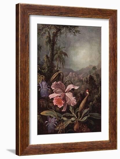 Orchids, Passion Flowers And Hummingbirds-Martin Johnson Heade-Framed Art Print