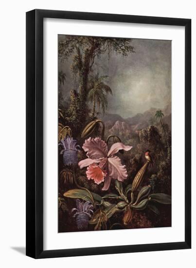 Orchids, Passion Flowers And Hummingbirds-Martin Johnson Heade-Framed Art Print