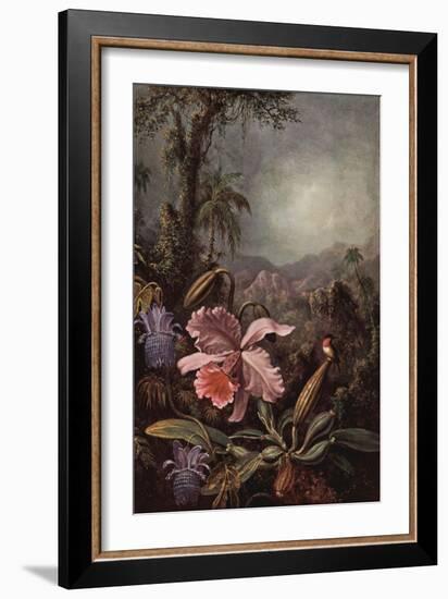 Orchids, Passion Flowers And Hummingbirds-Martin Johnson Heade-Framed Art Print