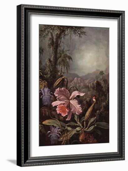 Orchids, Passion Flowers And Hummingbirds-Martin Johnson Heade-Framed Art Print