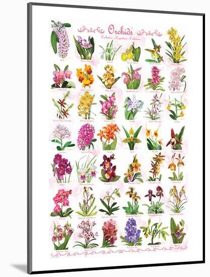 Orchids-null-Mounted Art Print