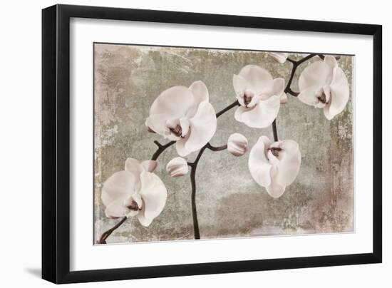 Orchids-Mindy Sommers-Framed Giclee Print