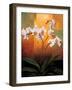 Orchids-Jill Deveraux-Framed Art Print