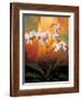Orchids-Jill Deveraux-Framed Art Print