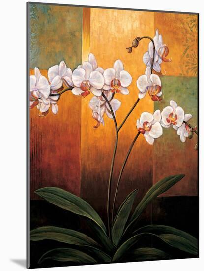 Orchids-Jill Deveraux-Mounted Art Print