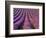 Orderly Rows of Lavender, Provence Region, France-Jim Zuckerman-Framed Photographic Print