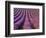 Orderly Rows of Lavender, Provence Region, France-Jim Zuckerman-Framed Photographic Print