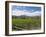 Orderly rows of vines in a typical Wairau Valley vineyard, Renwick, near Blenheim, Marlborough, Sou-Ruth Tomlinson-Framed Photographic Print