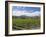 Orderly rows of vines in a typical Wairau Valley vineyard, Renwick, near Blenheim, Marlborough, Sou-Ruth Tomlinson-Framed Photographic Print