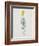 Ordinary Flax Weed-Moritz Michael Daffinger-Framed Collectable Print