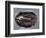 Ordovician Isotelus Gigas Trilobite Fossil-Kevin Schafer-Framed Photographic Print