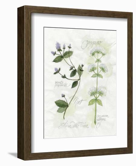 Oregano and Mint-Elissa Della-piana-Framed Premium Giclee Print