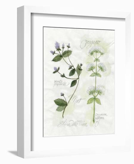 Oregano and Mint-Elissa Della-piana-Framed Premium Giclee Print