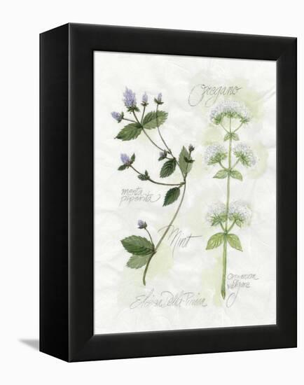 Oregano and Mint-Elissa Della-piana-Framed Stretched Canvas