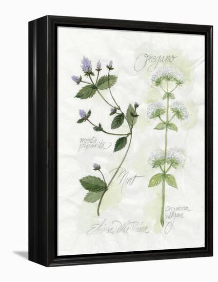 Oregano and Mint-Elissa Della-piana-Framed Stretched Canvas