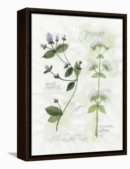 Oregano and Mint-Elissa Della-piana-Framed Stretched Canvas