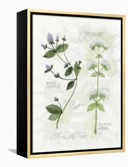 Oregano and Mint-Elissa Della-piana-Framed Stretched Canvas