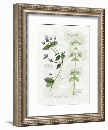 Oregano and Mint-Elissa Della-piana-Framed Art Print