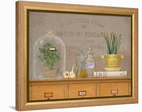 Oregano Library-Arnie Fisk-Framed Stretched Canvas