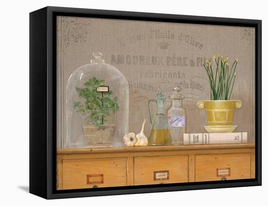 Oregano Library-Arnie Fisk-Framed Stretched Canvas