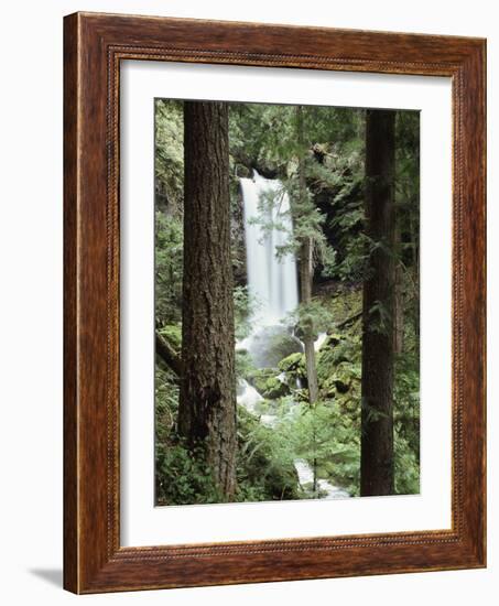 Oregon, a Waterfall in an Old Growth Forest-Christopher Talbot Frank-Framed Photographic Print