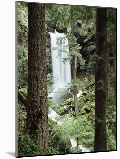 Oregon, a Waterfall in an Old Growth Forest-Christopher Talbot Frank-Mounted Photographic Print