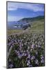 Oregon Coast and Douglas Iris-Darrell Gulin-Mounted Photographic Print