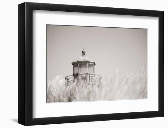 Oregon Coast Lighthouse Neutral-Nathan Larson-Framed Photographic Print