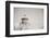 Oregon Coast Lighthouse Neutral-Nathan Larson-Framed Photographic Print