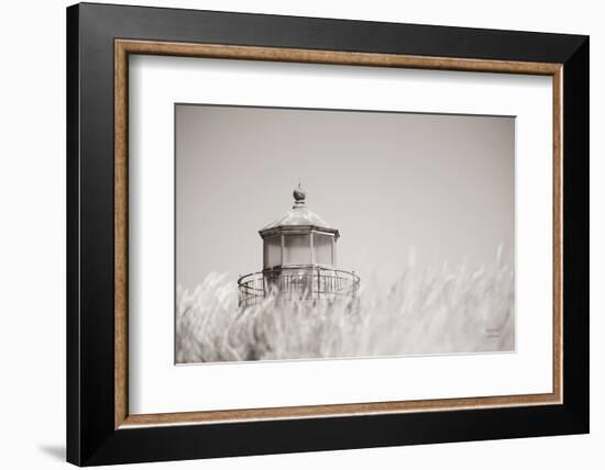 Oregon Coast Lighthouse Neutral-Nathan Larson-Framed Photographic Print