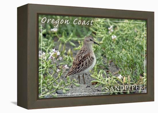 Oregon Coast - Sandpiper-Lantern Press-Framed Stretched Canvas