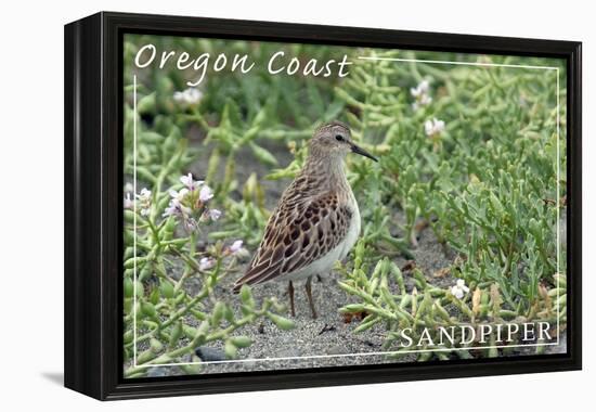 Oregon Coast - Sandpiper-Lantern Press-Framed Stretched Canvas