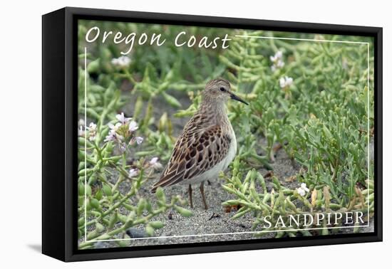 Oregon Coast - Sandpiper-Lantern Press-Framed Stretched Canvas