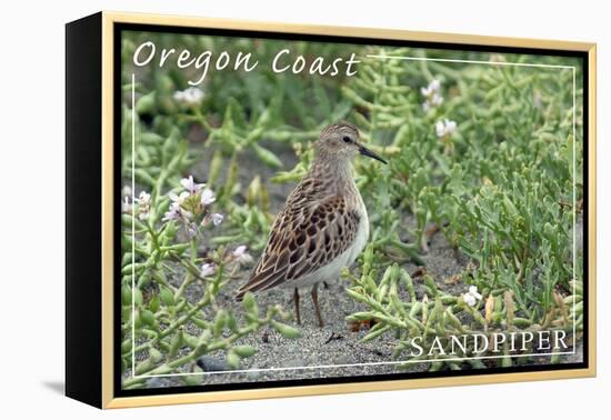 Oregon Coast - Sandpiper-Lantern Press-Framed Stretched Canvas