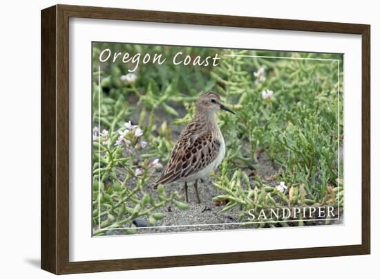 Oregon Coast - Sandpiper-Lantern Press-Framed Art Print