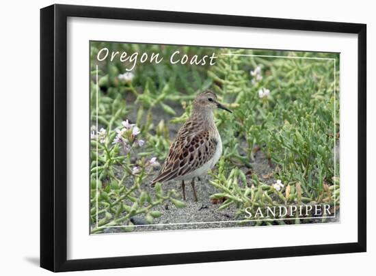 Oregon Coast - Sandpiper-Lantern Press-Framed Art Print
