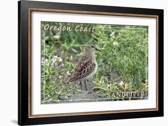 Oregon Coast - Sandpiper-Lantern Press-Framed Art Print