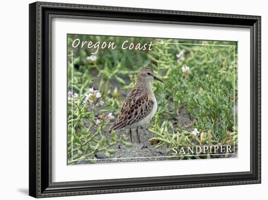 Oregon Coast - Sandpiper-Lantern Press-Framed Art Print