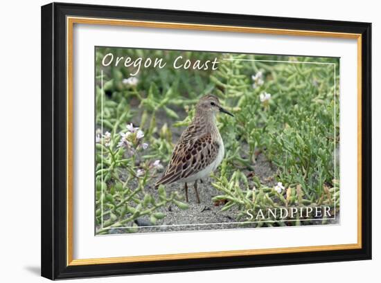 Oregon Coast - Sandpiper-Lantern Press-Framed Art Print