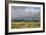 Oregon Coast - Seagulls-Lantern Press-Framed Art Print