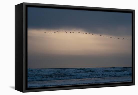 Oregon Coast Sunset 2-Erin Berzel-Framed Premier Image Canvas