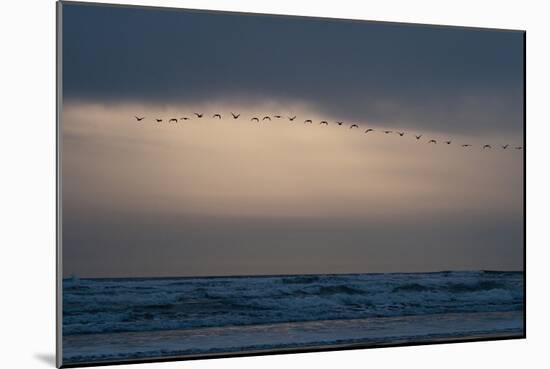 Oregon Coast Sunset 2-Erin Berzel-Mounted Photographic Print