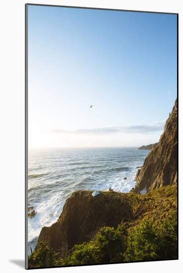 Oregon Coast Trail. Oswald West State Park, OR-Justin Bailie-Mounted Photographic Print