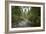 Oregon Coast Trail. Oswald West State Park, OR-Justin Bailie-Framed Photographic Print